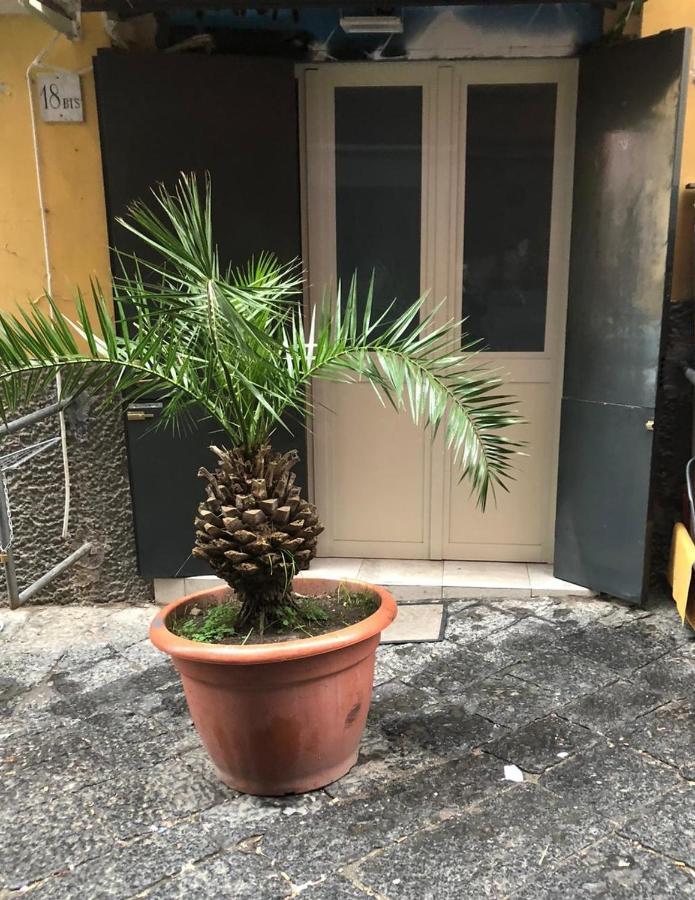 Graphite House Lejlighed Napoli Eksteriør billede
